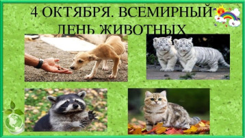 «Всемирный день защиты животных» «Всемирный день защиты животных».