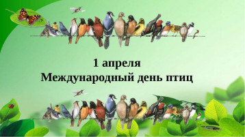 1 апреля, отмечается Международный День Птиц. 1 апреля, отмечается Международный День Птиц.