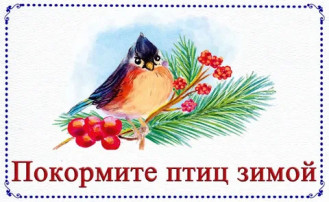 «Покорми птиц зимой» «Покорми птиц зимой».