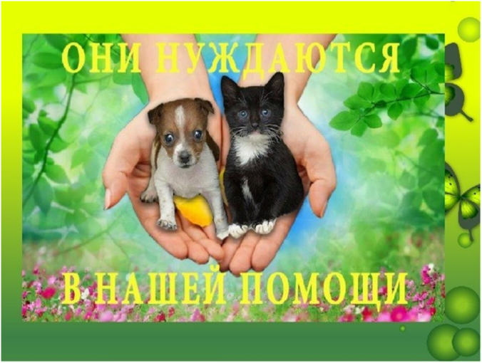 «Протяни руку лапам-2023» «Протяни руку лапам-2023».